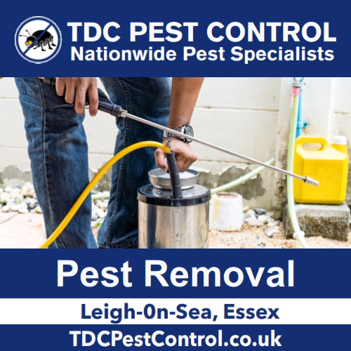 TDC Pest Control Leigh-on-Sea